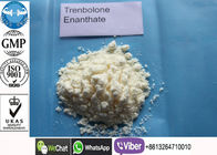 عضله سازی انسانی Tren آنابولیک استروئید Tren E / Trenbolone Enanthate Powder
